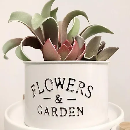 Bed&coffee - Scarlatti 公寓 那不勒斯